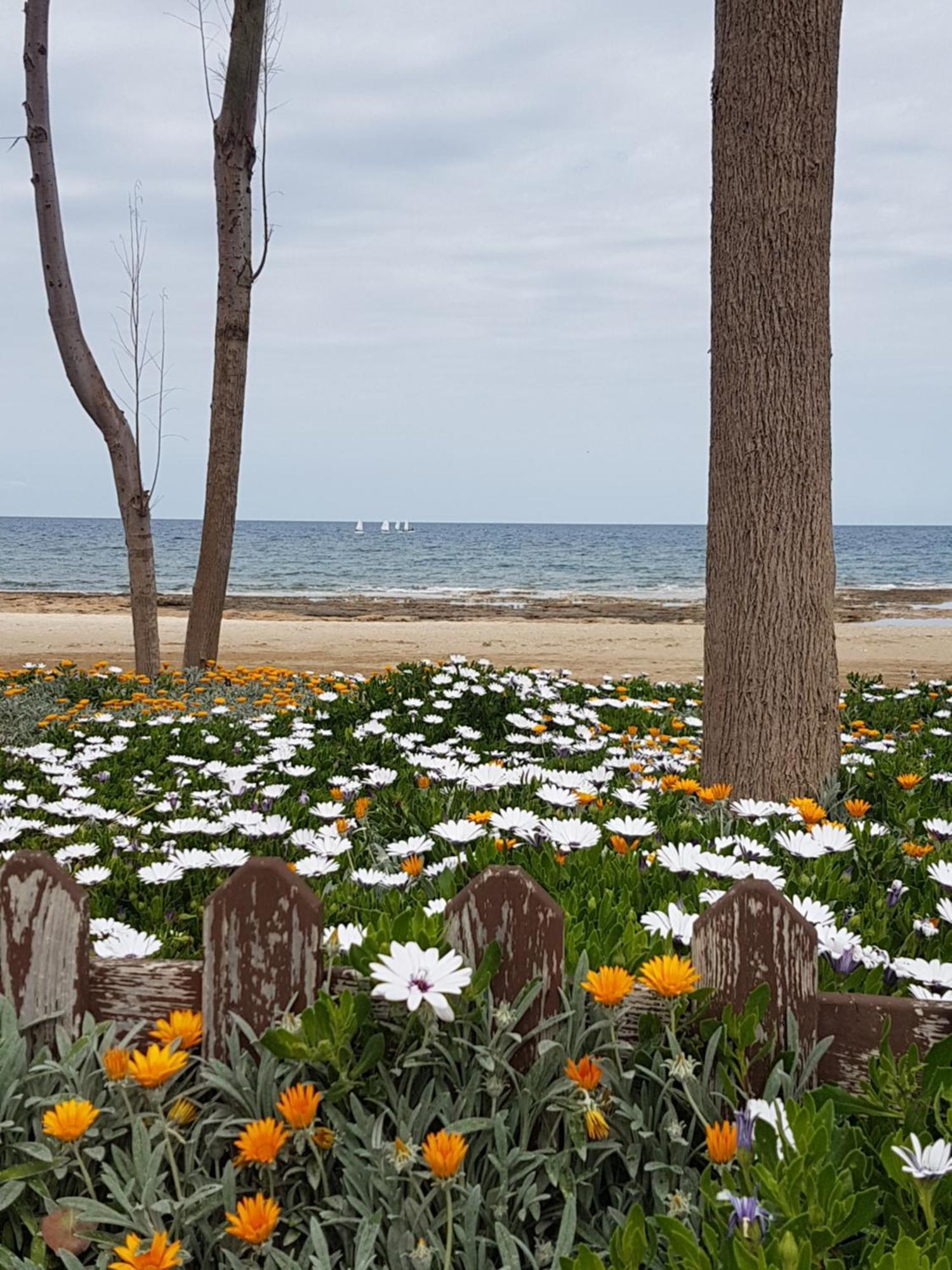 Holiday Apartment With Sea View Paralimni Exterior photo